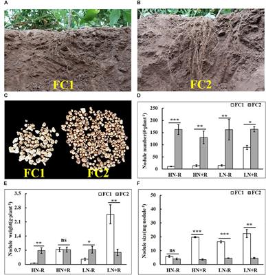 Genetic Analysis and Mapping of QTLs for Soybean Biological Nitrogen Fixation Traits Under Varied Field Conditions